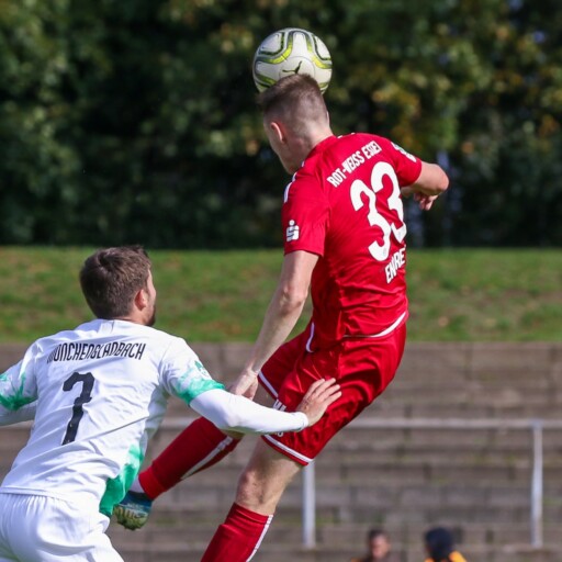 „Fohlen“ wollen wieder galoppieren
