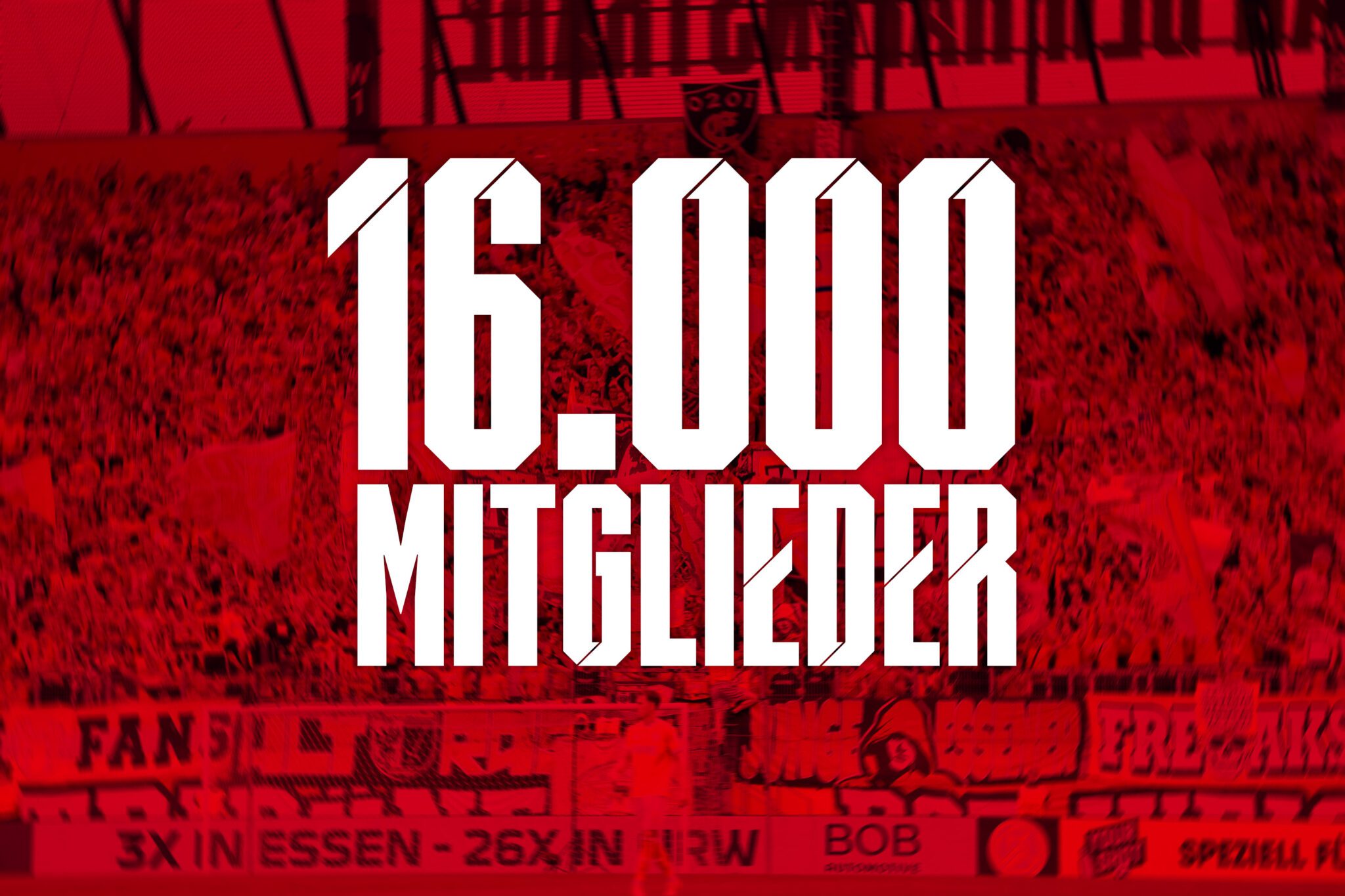 Mehr als 16.000 Mitglieder: RWE wächst weiter – Rot-Weiss Essen